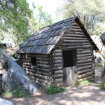 IMG_7861 (May 28, 2024)